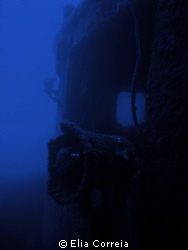Bowbelle Wreck! by Elia Correia 